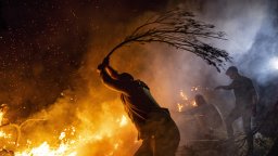 620 горски пожара за ден в Сърбия, пострадали са шестима, на места обявиха извънредно положение