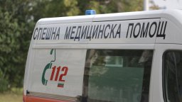 Куче нахапа жестоко стопанина си и негов приятел в апартамент в столичния квартал "Люлин"